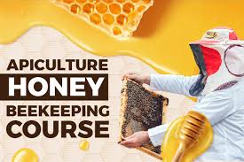 Apiculture Consultancies